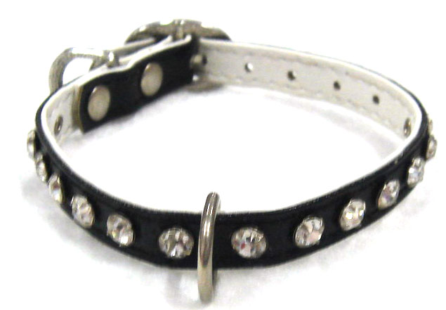  Pet Collar