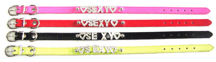  Pet Collar