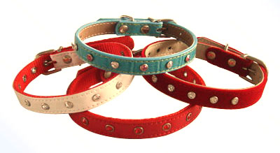  Pet Collar
