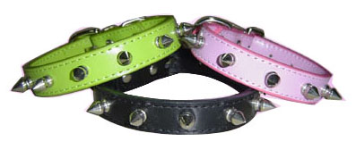  Pet Collar