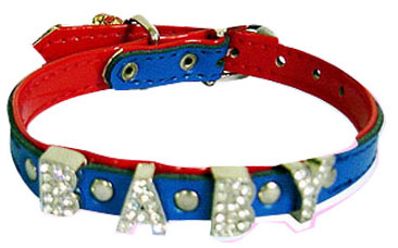  Pet Collar