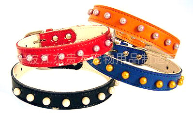  Pet Collar