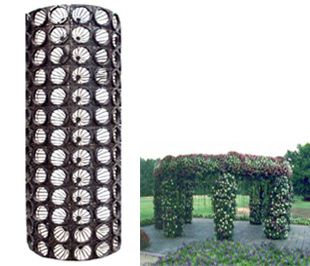  Flower Pot (Flower Pot)