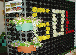  Flower Wall (Цветочная стена)