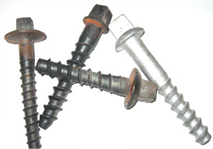 Thread Dog Nail (Thread Dog Nail)