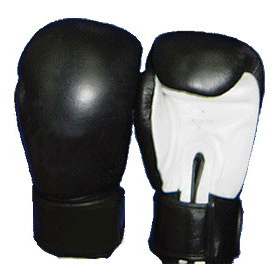  Boxing Gloves (Boxhandschuhe)