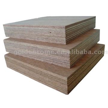  Container Plywood (Container Plywood)