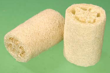  Loofah Sponge (Loofah Eponge)