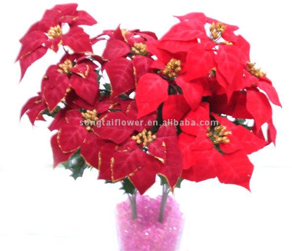  Christmas Flower