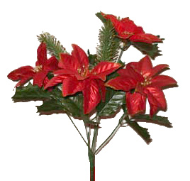  Christmas Flower (Fleur de Noël)