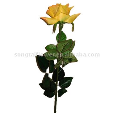  Sharp-Angled Rose (Остроугольные Роз)