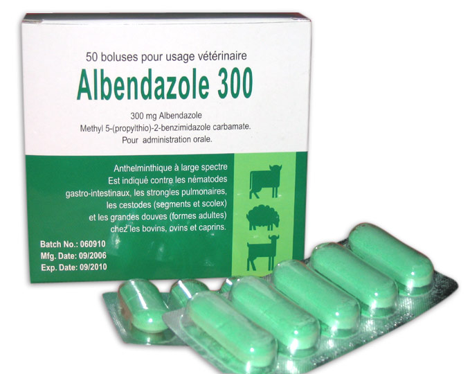  Albendazole Tablet 300mg