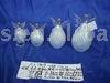  Glass Christian Decoration (Christian Glas Dekoration)