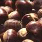  Chestnut ( Chestnut)