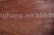  Veneer (Kelong)