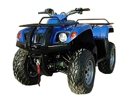  4WD 500cc ATV (4WD 500cc ATV)