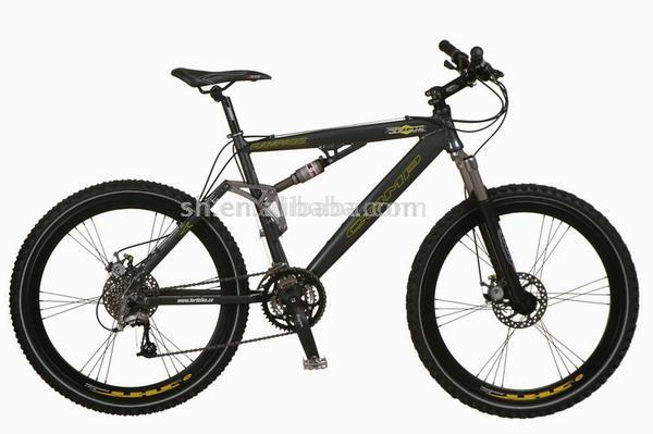 Mountain Bike (Mountain Bike)