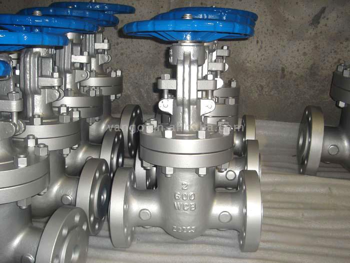  Gate Valve (Schieber)