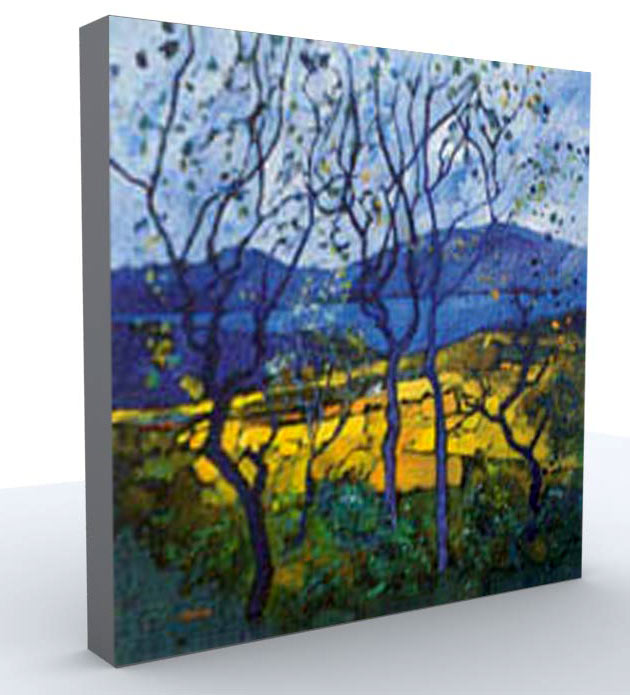  Canvas Painting (Peinture de Canvas)