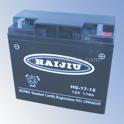  UPS Battery (USV-Batterie)