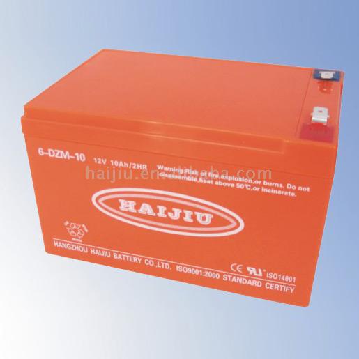  Electrical Bike Battery (Vélo électrique batterie)