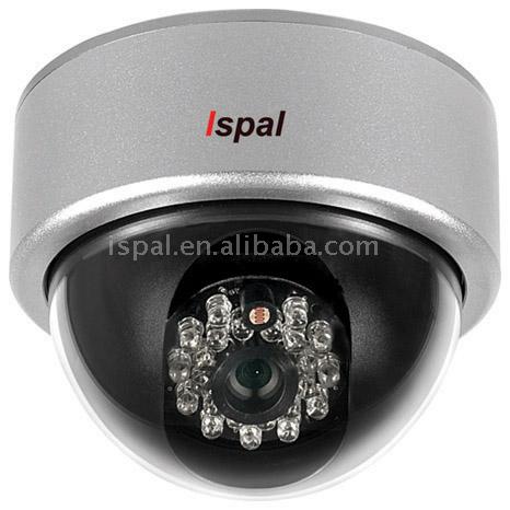  IR Weatherproof CCD Dome Camera ( IR Weatherproof CCD Dome Camera)