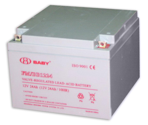  VRLA Battery (12V 24Ah) ( VRLA Battery (12V 24Ah))