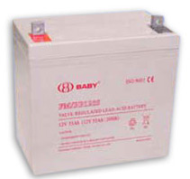  Valve Regulated Lead Acid Battery (12V 28Ah) (Valve Regulated Lead Acid Akku (12V 28Ah))