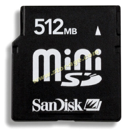  Mini-SD Card ( Mini-SD Card)