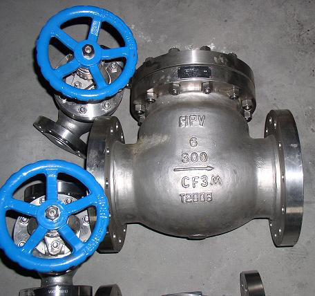  Check Valve (Rückschlagventil)