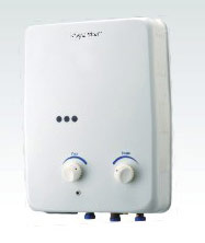  Natural Type Gas Water Heater (Природный газ типа водонагревателя)