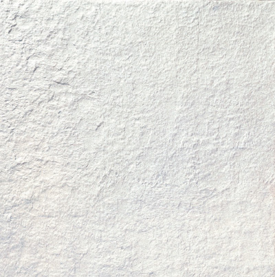  Rustic Porcelain Tile (Rustique Porcelain Tile)