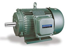  Three Phase Induction Motors ( Three Phase Induction Motors)