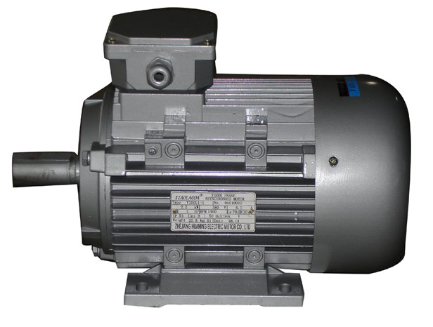  Three Phase Cleaner Motor ( Three Phase Cleaner Motor)