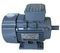  European Model Motor ( European Model Motor)