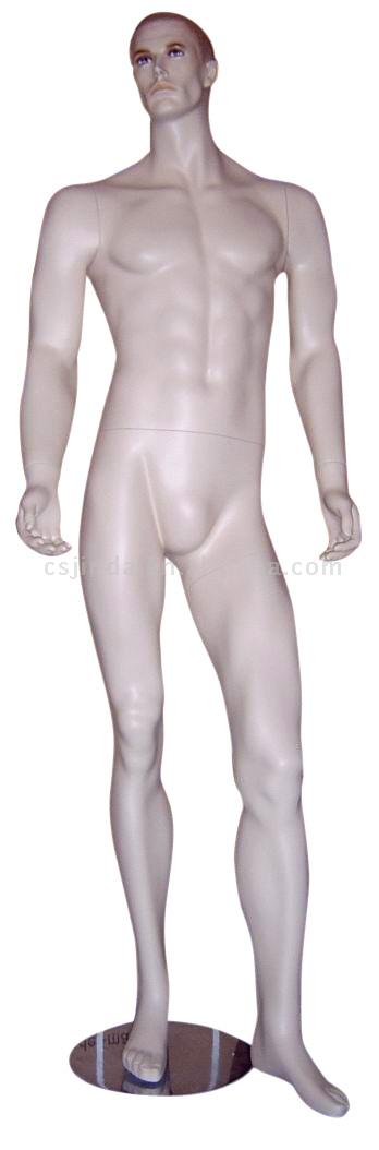  Male Mannequin