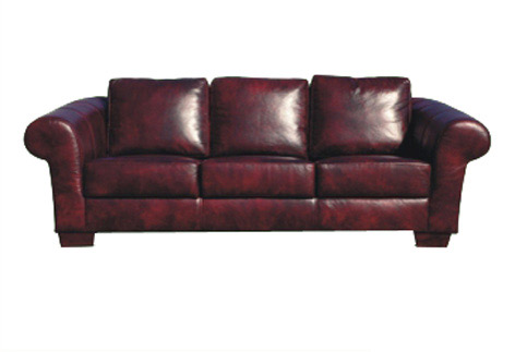  Leather Sofa (Leather Sofa)