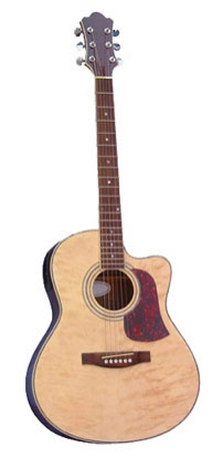  Acoustic Guitar (Акустическая гитара)
