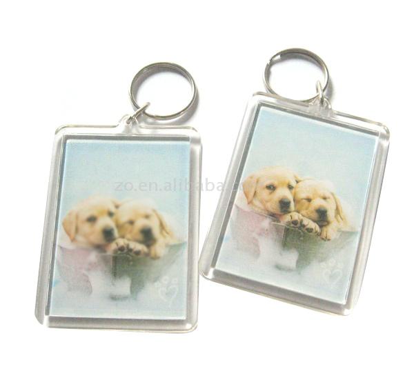  Coin Key Chain ( Coin Key Chain)
