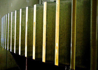  Slewing Bearing ( Slewing Bearing)
