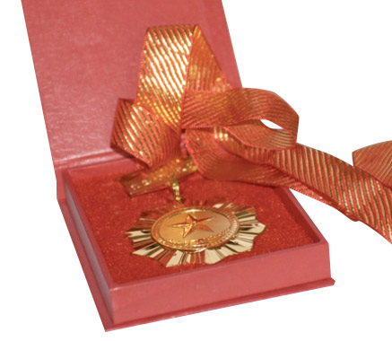  Commemorative Badge (Commemorative Badge)