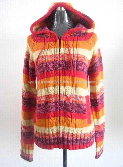  Ladies` Sweater ( Ladies` Sweater)