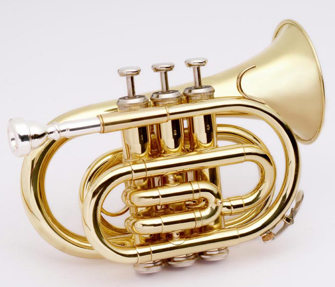 Pocket Trumpet