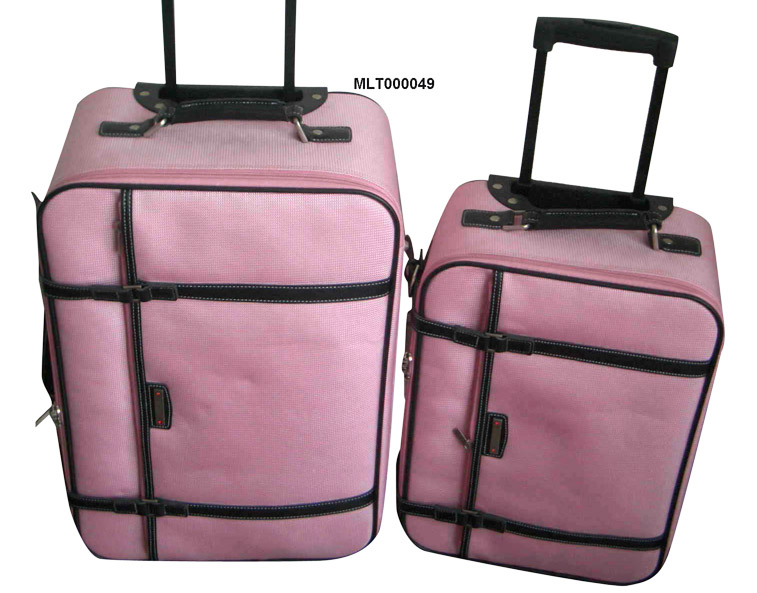  Travelling Case (Voyager affaire)