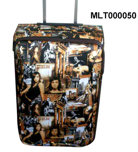  Travelling Case (Voyager affaire)