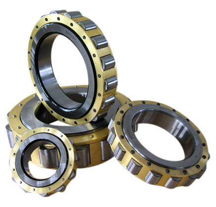  Single Row Cylindrical Roller Bearing (RN0000) (À une rangée de roulements à rouleaux cylindriques (RN0000))
