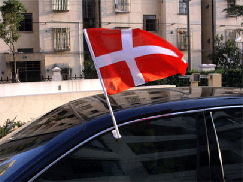  Car Flag ( Car Flag)