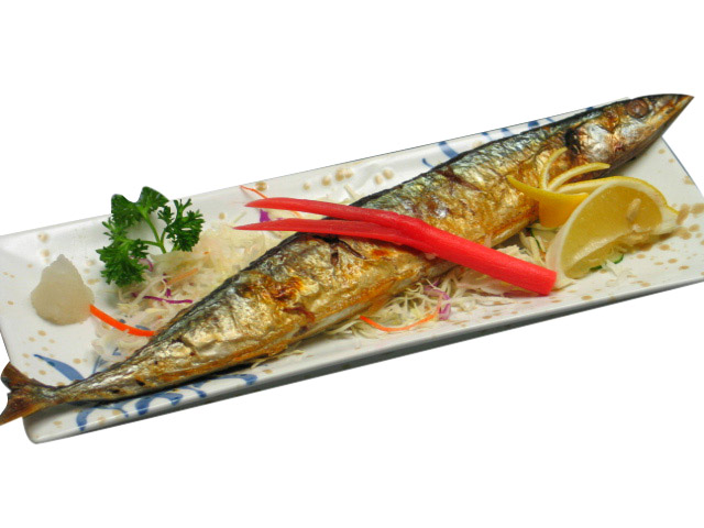  Food Replica (Pacific Saury) (Продовольственная Replica (сайра))