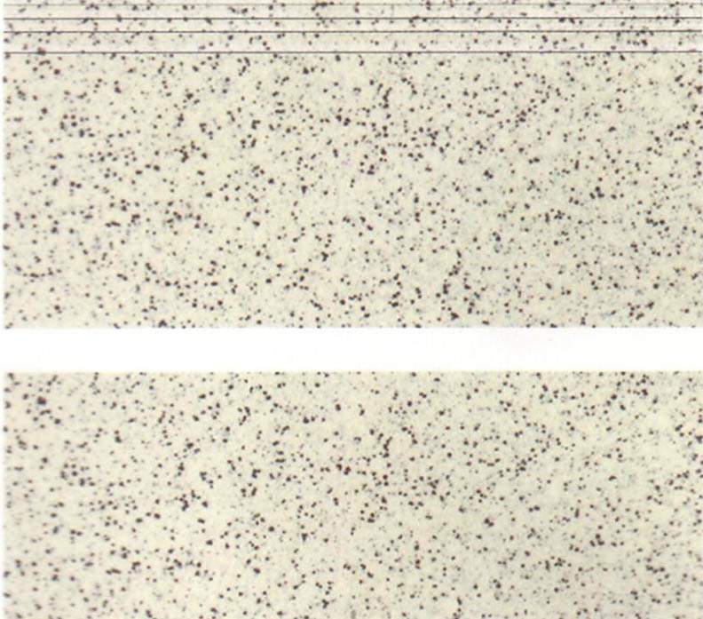  Anti-Slip Step Tile
