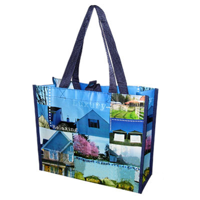 Shopping Bag (Покупки Сумка)
